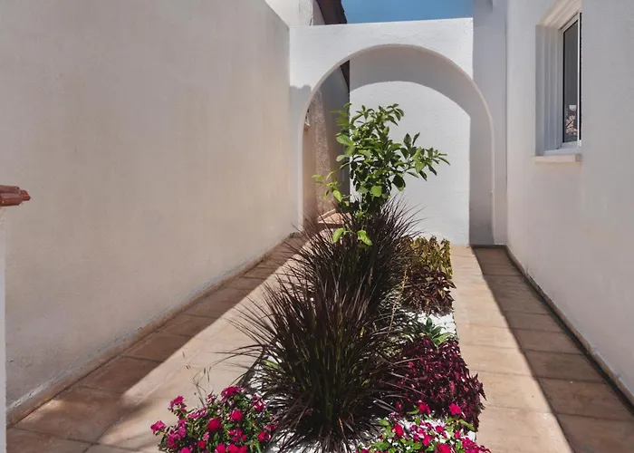 Botanical Art House By Staycom * Paphos